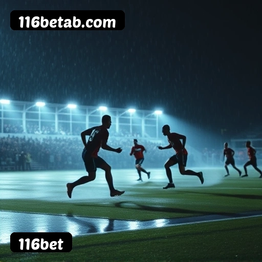 Comparação APP mobile vs versão web da 116bet