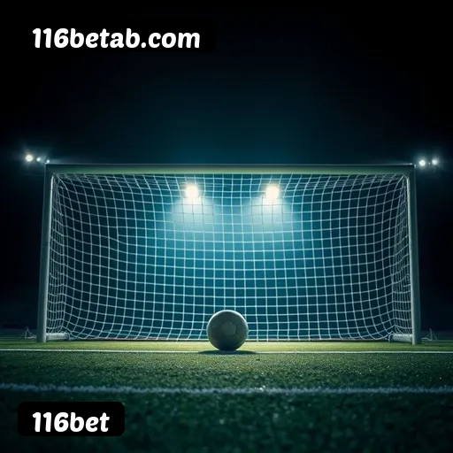 Níveis do programa VIP da 116bet